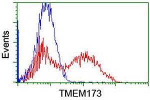 Image no. 1 for anti-Transmembrane Protein 173 (TMEM173) antibody (ABIN1501424) (STING/TMEM173 antibody)