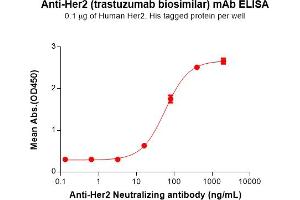 ELISA plate pre-coated by 1 μg/mL (100 μL/well) Human Her2, His tagged protein (ABIN6964074, ABIN7042403 and ABIN7042404) can bind Anti-Her2 (trastuzumab biosimilar) mAb (ABIN7093066 and ABIN7272596) in a linear range of 3. (Recombinant ErbB2/Her2 (Trastuzumab Biosimilar) antibody)