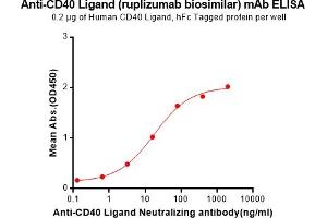 ELISA plate pre-coated by 2 μg/mL (100 μL/well) Human CD40 Ligand Protein, hFc Tag (ABIN6964081, ABIN7042417 and ABIN7042418) can bind Anti-CD40L Neutralizing antibody (ABIN7093061 and ABIN7272591) in a linear range of 0. (Recombinant CD40L (Ruplizumab Biosimilar) antibody)