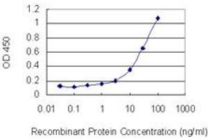 Detection limit for recombinant GST tagged HOXB13 is 1 ng/ml as a capture antibody. (HOXB13 antibody  (AA 61-216))