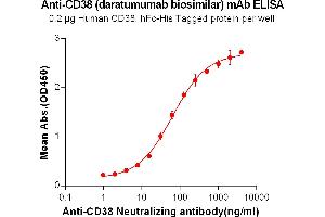 ELISA plate pre-coated by 2 μg/mL (100 μL/well) Human CD38, hFc-His tagged protein (ABIN6961077, ABIN7042183 and ABIN7042184) can bind Anti-CD38 Neutralizing antibody in a linear range of 0. (Recombinant CD38 (Daratumumab Biosimilar) antibody)
