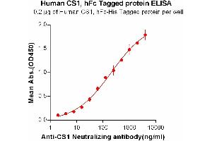 ELISA plate pre-coated by 2 μg/mL (100 μL/well) Human CS1, hFc-His tagged protein (ABIN6961075, ABIN7042179 and ABIN7042180) can bind Anti-CS1 Neutralizing antibody ABIN6964415 and ABIN7272551 in a linear range of 7. (Catalase Protein (CAT) (AA 23-226) (His tag,Fc Tag))