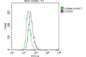 Overlay histogram showing Raji cells stained with ABIN7127559 (red line) at 1:50. (Recombinant ICAM1 antibody)