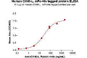 ELISA plate pre-coated by 1 μg/mL (100 μL/well) Human OX40-L Protein, mFc-His Tag (ABIN6961094, ABIN7042217 and ABIN7042218) can bind Anti-OX40-L Rabbit mAb in a linear range of 3. (TNFSF4 Protein (mFc-His Tag))