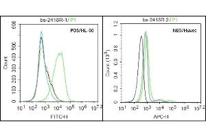 HL-60 (Positive) and huvec (Negative control) cells (black) were incubated in 5% BSA blocking buffer for 30 min at room temperature. (NCR3 antibody  (AA 81-180))