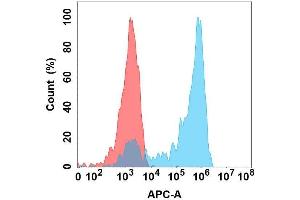 Flow cytometry analysis with Anti-Nectin4 on Expi293 cells transfected with human Nectin4 (Blue histogram) or Expi293 transfected with irrelevant protein (Red histogram). (PVRL4 antibody)