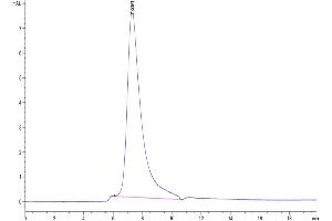 Size-exclusion chromatography-High Pressure Liquid Chromatography (SEC-HPLC) image for GDNF Family Receptor alpha Like (GFRAL) (AA 19-351) protein (His-Avi Tag,Biotin) (ABIN7274738)