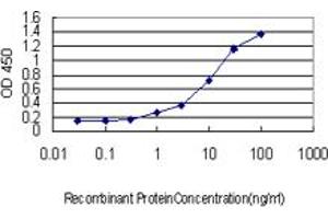 Detection limit for recombinant GST tagged RHEB is approximately 0. (RHEB antibody  (AA 1-184))