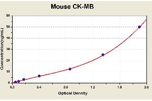 Diagramm of the ELISA kit to detect Mouse CK-MBwith the optical density on the x-axis and the concentration on the y-axis. (Creatine Kinase MB ELISA Kit)