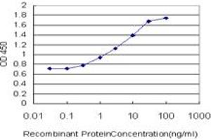Detection limit for recombinant GST tagged ARHGEF11 is approximately 0. (ARHGEF11 antibody  (AA 651-750))