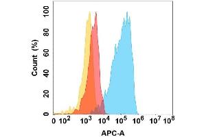 Flow cytometry analysis with Anti-CHODL on Expi293 cells transfected with human CHODL (Blue histogram) or Expi293 transfected with irrelevant protein (Red histogram), and Isotype antibody on Expi293 transfected with irrelevant protein (Orange histogram). (CHODL antibody)