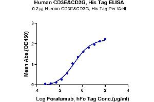 ELISA image for CD3E & CD3G protein (His tag) (ABIN7274144)