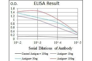 Black line: Control Antigen (100 ng), Purple line: Antigen(10 ng), Blue line: Antigen (50 ng), Red line: Antigen (100 ng), (Lp(a) antibody  (AA 1823-2013))