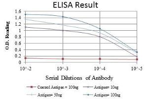 ELISA image for anti-Cas-Br-M (Murine) Ecotropic Retroviral Transforming Sequence (CBL) antibody (ABIN968993)