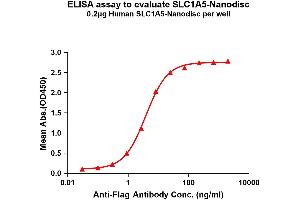 Elisa plates were pre-coated with Flag Tag A5-Nanodisc (0. (SLC1A5 Protein)