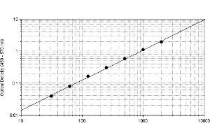 Enzyme Immunoassay (EIA) image for Tumor Necrosis Factor alpha (TNF alpha) ELISA Kit (ABIN2691052) (TNF alpha ELISA Kit)