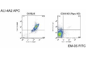 Surface staining of C57BL/6 cells and CD45 knock-out cells with anti-CD45 antibodies EM-05 and ALI-4A2. (CD45 antibody)