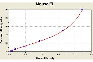 Diagramm of the ELISA kit to detect Mouse ELwith the optical density on the x-axis and the concentration on the y-axis. (LIPG ELISA Kit)