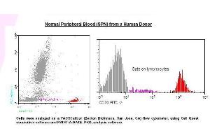 Image no. 1 for anti-Membrane-Spanning 4-Domains, Subfamily A, Member 1 (MS4A1) antibody (FITC) (ABIN1112086) (CD20 antibody  (FITC))