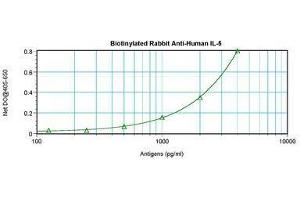 Image no. 2 for anti-Interleukin 5 (IL5) antibody (Biotin) (ABIN465375) (IL-5 antibody  (Biotin))