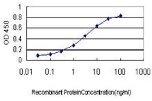 Detection limit for recombinant GST tagged HTRA2 is approximately 0. (HTRA2 antibody  (AA 359-458))