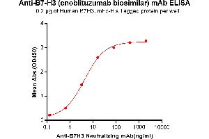 ELISA plate pre-coated by 2 μg/mL (100 μL/well) Human B7-H3, mFc-His tagged protein ABIN6961085, ABIN7042199 and ABIN7042200 can bind Anti-B7-H3 Neutralizing antibody in a linear range of 0. (Recombinant B7-H3 (Enoblituzumab Biosimilar) antibody)