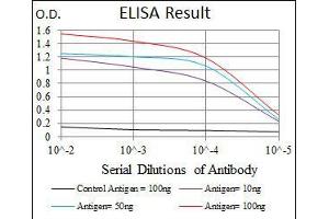 ELISA image for anti-Cyclin-Dependent Kinase 2 (CDK2) antibody (ABIN969506)