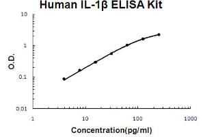 Human IL-1 beta Accusignal ELISA Kit Human IL-1 beta AccuSignal ELISA Kit standard curve. (IL-1 beta ELISA Kit)