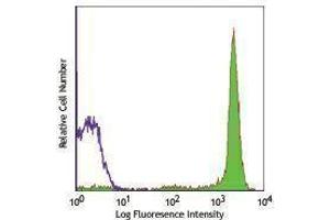 Flow Cytometry (FACS) image for anti-CD90/CD90.1 antibody (FITC) (ABIN2661862) (CD90/CD90.1 antibody (FITC))