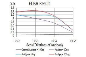 Black line: Control Antigen (100 ng),Purple line: Antigen (10 ng), Blue line: Antigen (50 ng), Red line:Antigen (100 ng) (NAA10 antibody  (AA 111-235))