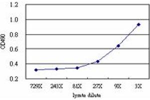 Sandwich ELISA detection sensitivity ranging from approximately 27x to 3x dilution of the PLEK 293T overexpression lysate (non-denatured). (PLEK (Human) Matched Antibody Pair)