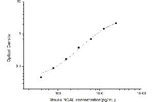 Typical standard curve (Lipocalin 2 ELISA Kit)