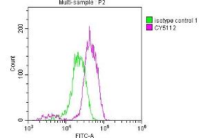 Overlay histogram showing Jurkat cells stained with ABIN7127467 (red line) at 1:50. (Recombinant EGFR antibody)