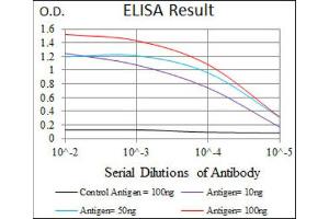 ELISA image for anti-Polo-Like Kinase 1 (PLK1) (AA 331-508) antibody (ABIN1844749) (PLK1 antibody  (AA 331-508))