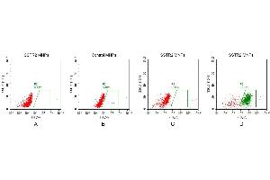 FACS analysis of S MNPs A. (SSTR2 Protein)