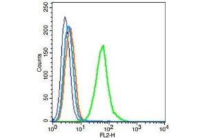 Flow Cytometry (FACS) image for anti-Toll-Like Receptor 6 (TLR6) (AA 301-400) antibody (ABIN749573)