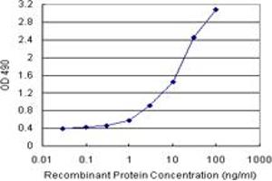 Sandwich ELISA detection sensitivity ranging from 0. (SNAP23 (Human) Matched Antibody Pair)