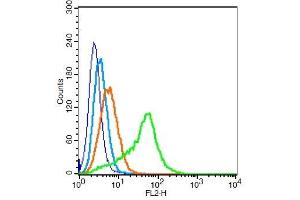 Flow Cytometry (FACS) image for anti-C-Type Lectin Domain Family 14, Member A (CLEC14A) (AA 260-310) antibody (ABIN1385496)