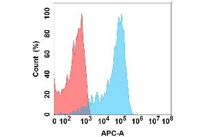 Flow cytometry analysis with Anti-EREG on Expi293 cells transfected with human EREG (Blue histogram) or Expi293 transfected with irrelevant protein (Red histogram). (Epiregulin antibody)