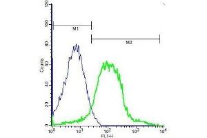 Flow Cytometry (FACS) image for anti-Glucagon-Like Peptide 1 Receptor (GLP1R) (AA 101-200) antibody (ABIN731333)