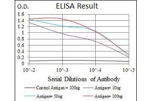 ELISA image for anti-CCAAT/enhancer Binding Protein (C/EBP), alpha (CEBPA) antibody (ABIN969048)