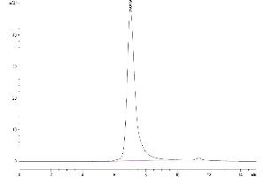 Size-exclusion chromatography-High Pressure Liquid Chromatography (SEC-HPLC) image for NKG2C & CD94 protein (His-Avi Tag) (ABIN7275330)