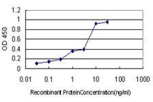 Detection limit for recombinant GST tagged PIN1 is approximately 0. (PIN1 antibody  (AA 64-163))