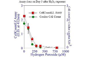 Image no. 1 for CellCountEZ™ Cell Survival Assay Kit (ABIN1607918)