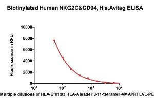 Immobilized Biotinylated Human NKG2C&CD94, His,Avitag (ABIN6973176) at 1 μg/mL (100 μL/well) on streptavidin  precoated (0. (NKG2C & CD94 (AA 94-231) (Active) protein (His tag,AVI tag,Biotin))