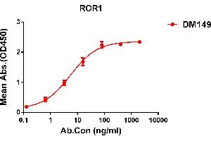 ELISA plate pre-coated by 1 μg/mL (100 μL/well) Human protein, His tagged protein ABIN6964103, ABIN7042461 and ABIN7042462 can bind Rabbit anti- monoclonal antibody (clone: DM149) in a linear range of 1-50 ng/mL. (ROR1 antibody  (AA 30-403))