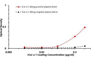 ELISA image for Major Allergen Cor a 1 protein (ABIN7506045)