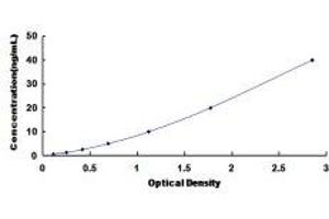 Typical Standard Curve (Major Basic Protein ELISA Kit)