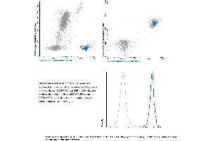 Image no. 1 for anti-B-cell antigen receptor complex-associated protein alpha chain (CD79A) (AA 202-216) antibody (PE) (ABIN1112032) (CD79a antibody  (AA 202-216) (PE))