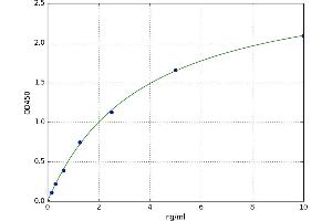 A typical standard curve (serine (Or Cysteine) Peptidase Inhibitor, Clade A, Member 3G (Serpina3g) ELISA Kit)